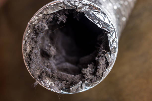 Best Air Duct Cleaning Near Me in Boston, MA