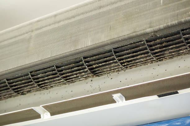 Air Duct Mold Removal in Boston, MA